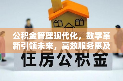 建湖公积金管理现代化，数字革新引领未来，高效服务惠及民生