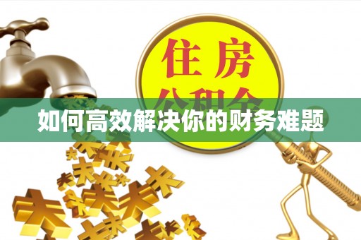 建湖如何高效解决你的财务难题
