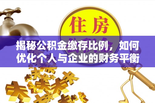建湖揭秘公积金缴存比例，如何优化个人与企业的财务平衡
