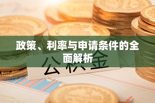 建湖政策、利率与申请条件的全面解析